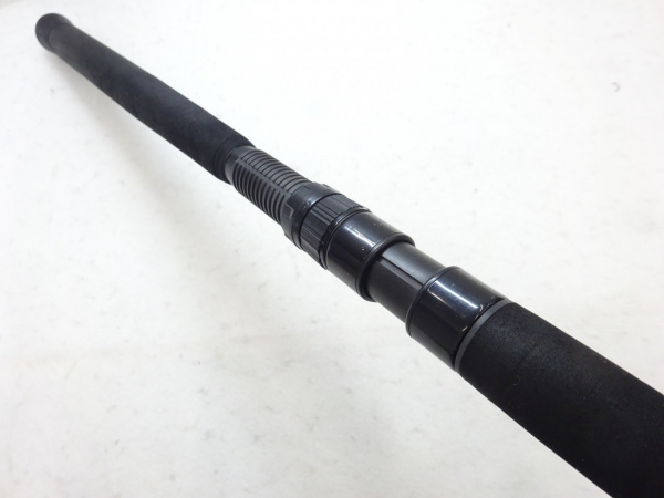 アーリープラス100M